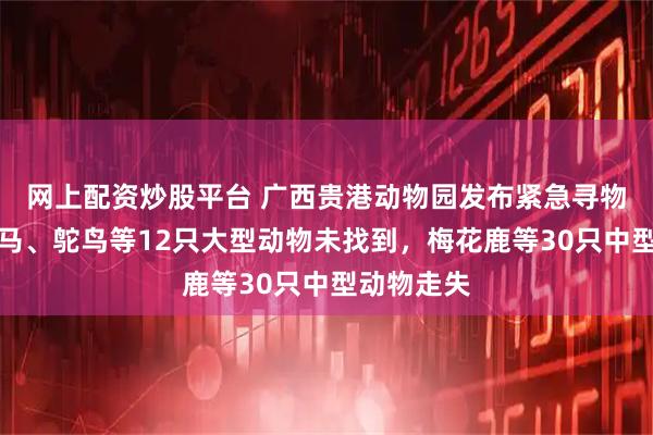网上配资炒股平台 广西贵港动物园发布紧急寻物启事：斑马、鸵鸟等12只大型动物未找到，梅花鹿等30只中型动物走失