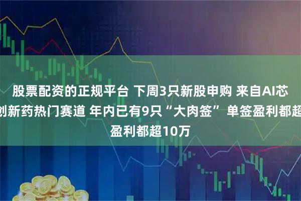 股票配资的正规平台 下周3只新股申购 来自AI芯片、创新药热门赛道 年内已有9只“大肉签” 单签盈利都超10万